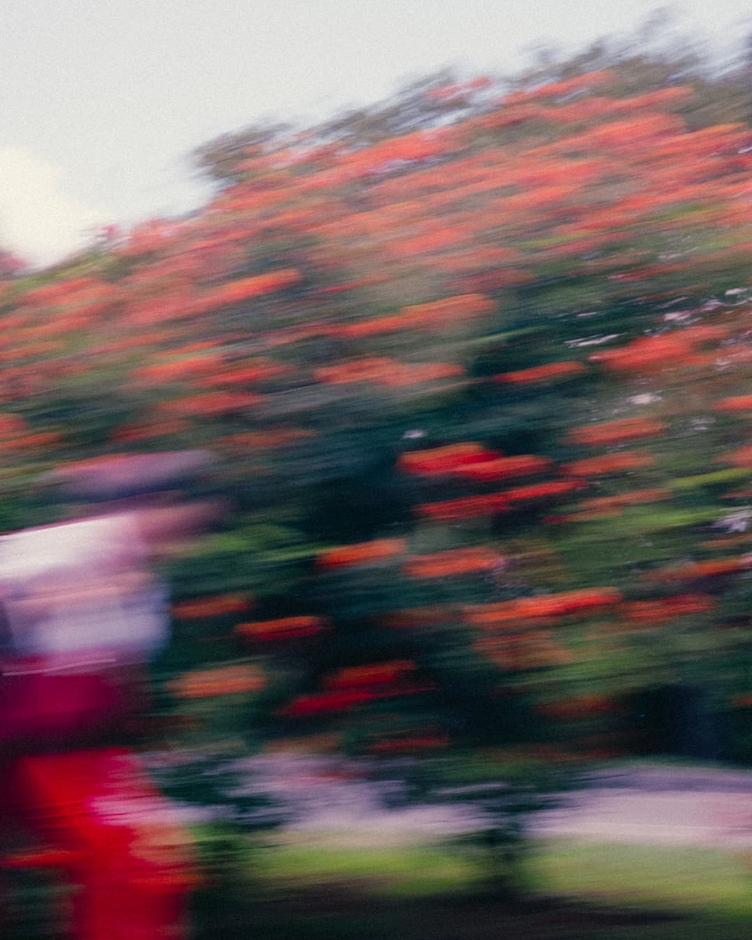 FLOWERS BLUR | FIRE CHAMBER